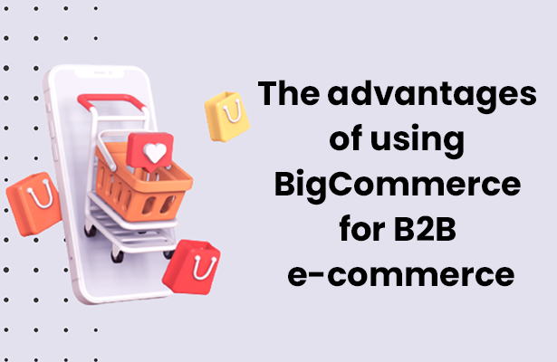 The Advantages Of Using BigCommerce For B2B E-commerce – Webinopoly