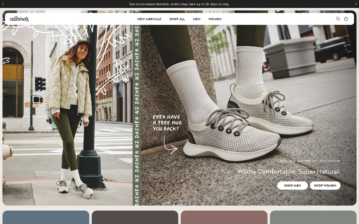 Homepage of the Allbirds Shopify store