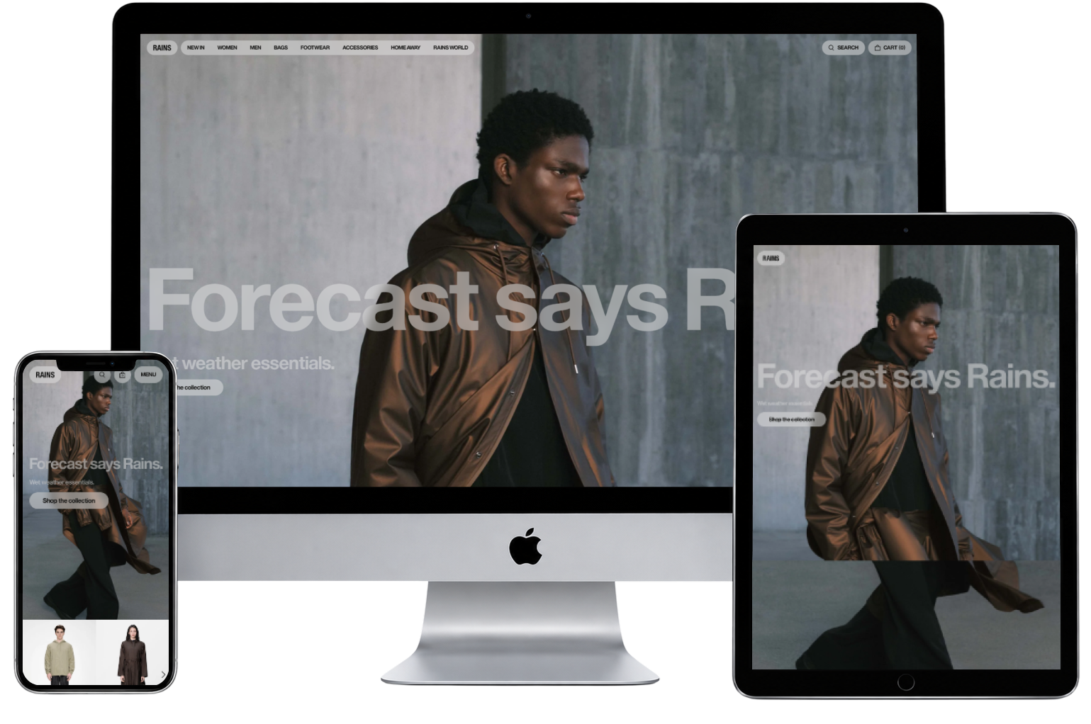 Rains website preview