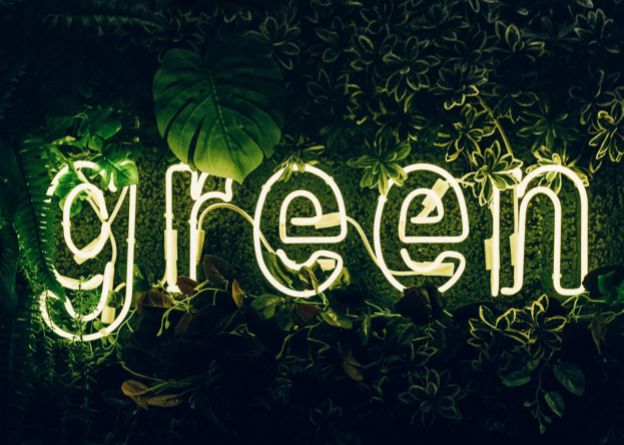 Top 25 Vegan and Eco-Friendly products on Shopify