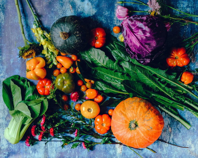 Top Vegan Food Stores on Shopify