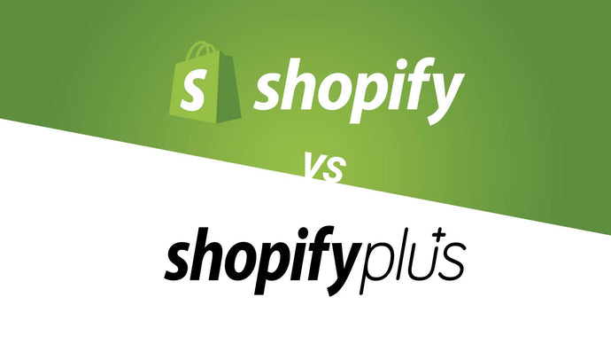 Shopify Plus: Pros & Cons, 2022 Complete Guide